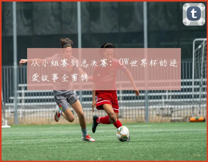 从小组赛到总决赛：OW世界杯的逆袭故事全剪辑