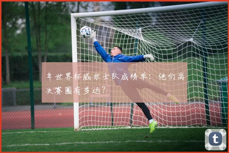 年世界杯威尔士队成绩单：他们离决赛圈有多远？