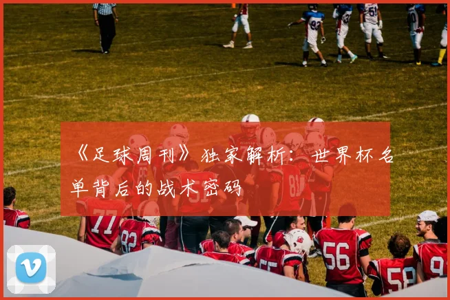 《足球周刊》独家解析:世界杯名单背后的战术密码
