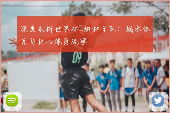 深度剖析世界杯H组种子队：战术体系与核心球员观察